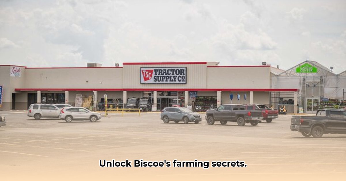 tractor-supply-biscoe